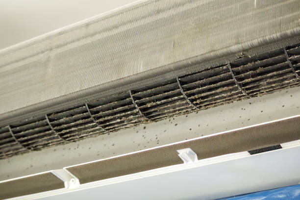 Best Emergency Air Duct Cleaning  in Laguna Park, TX